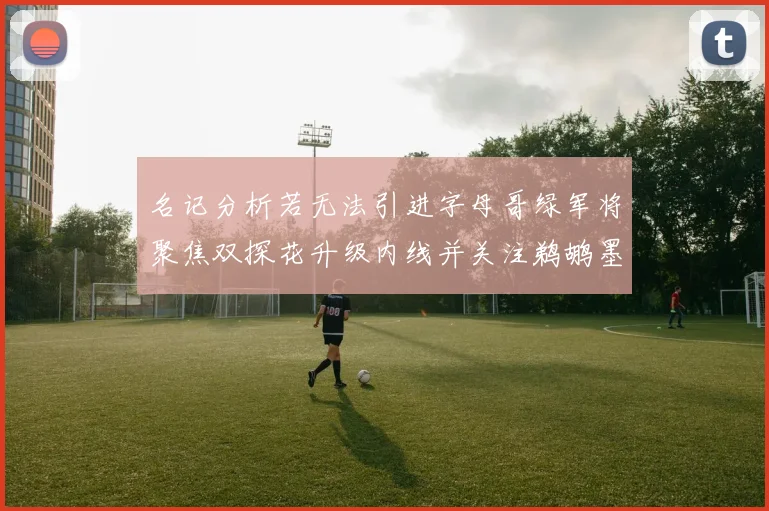 名记分析若无法引进字母哥绿军将聚焦双探花升级内线并关注鹈鹕墨菲